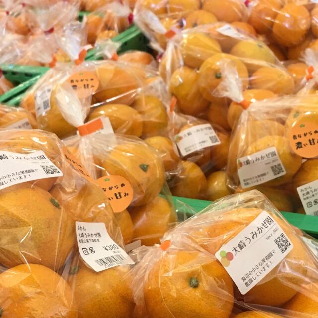 みかん・柑橘類 - 大崎うみかぜ園